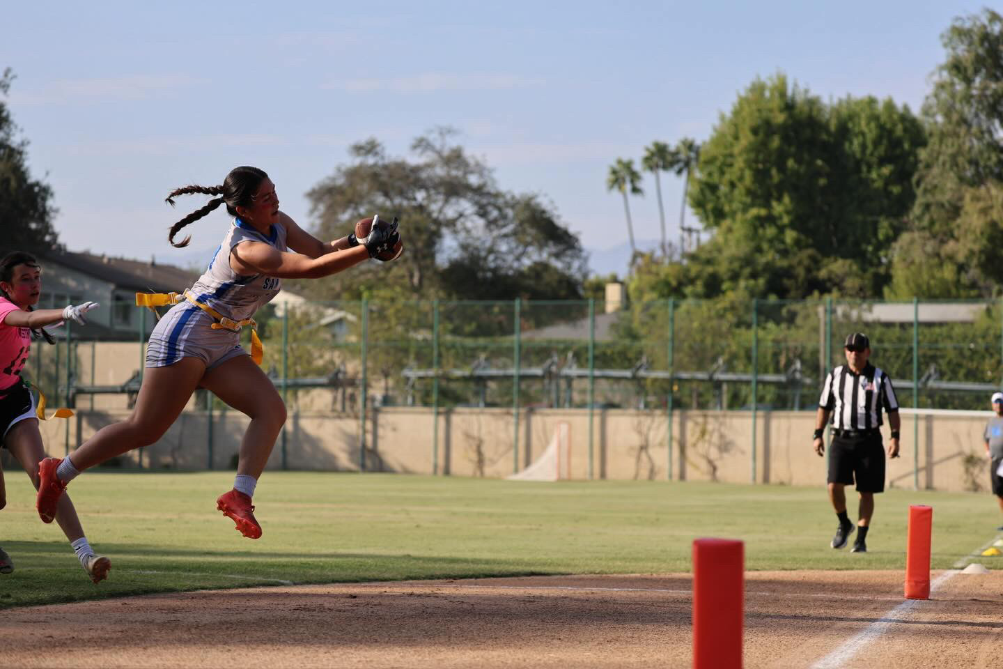 Titans player diving for a touchdown catch
